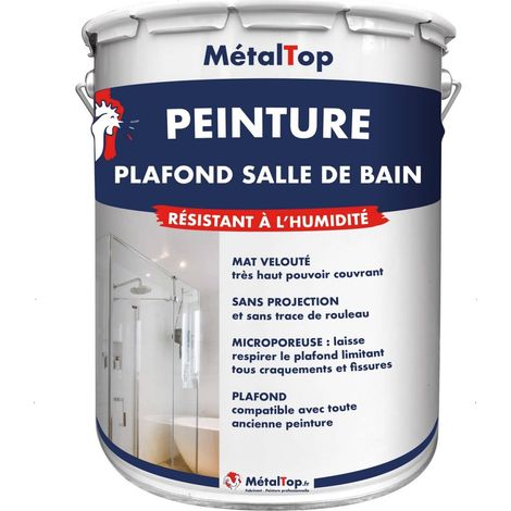 Peinture Plafond Salle De Bain - Pot 1 L    - 3022 - Rouge saumon - Metaltop (1/5)