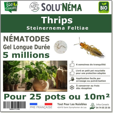 Traitement Thrips - 5 millions Nématodes SF