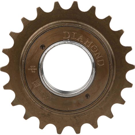 1 Pignon Vélo 22 Dents en Métal Antirouille Haute Durabilité Faible Bruit Roue Libre Cyclisme Accessoire de Remplacement (1/5)