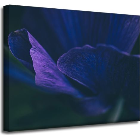 Leinwanddruck Botanik Lila Blütenblätter 50x40