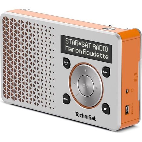 TechniSat Digitradio 1, silber/orange