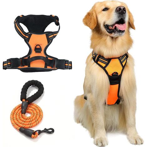 Harnais pour chien TuseRxln - Laisse pour chien - Nylon Oxford robuste avec sangles réfléchissantes et poignée souple - 2 pièces - Pour chiens moyens à grands - Couleur orange (1/5)