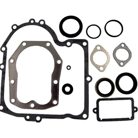 Dichtungssatz BRIGGS ET STRATTON 494241
