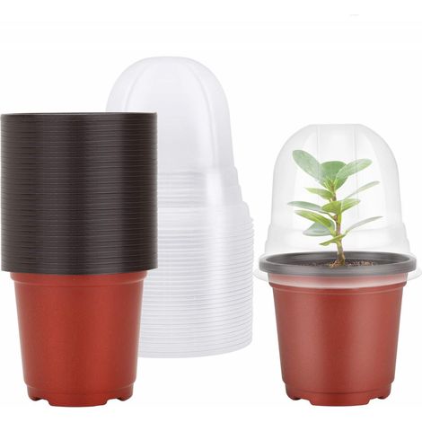 Pots de semis avec couvercle et trous de Drainage, conteneurs de plantes à fleurs, pour la transplantation de semis de plantes à fleurs, paquet de 10 (1/5)