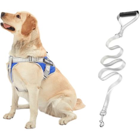 1 harnais anti-traction pour chien, réglable et réfléchissant, avec poignée intégrée et laisse 1,5 m, pour marche et course (1/5)