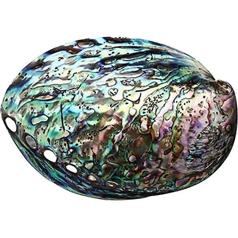 Romantische, natürliche Abalone-Muschel, geschält, zum Reinigen, Räuchern, für Kunsthandwerk