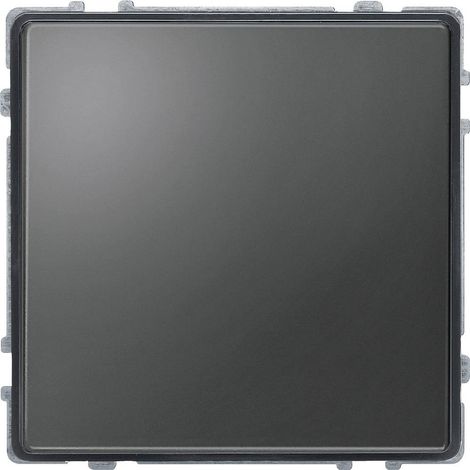 Plaque de finition Merten 348314 gris IP20 (1/2)