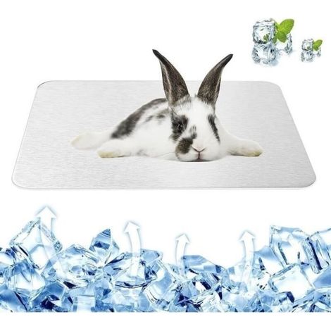 Tapis de Refroidissement pour Lapin - Rafraichissante Lapin - Pour Petits Animaux - Aluminium - Réutilisable (1/4)