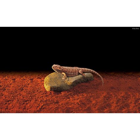 Exo Terra Pierre chauffante naturel 31 x 18 cm 15 W (1/4)