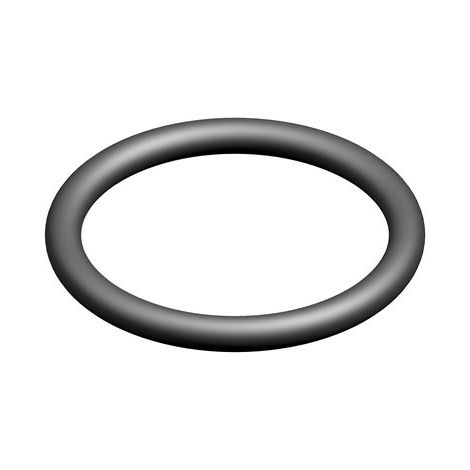 BOSCH Ersatzteil TTNR: 87167622050 O-Ring (10x)