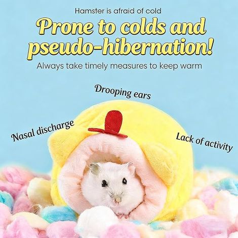 Hamster Bed, Plush House Small Pet Bed for Syrian Hamsters, Guinea Pigs, Hedgehogs Small Animals (1/4)