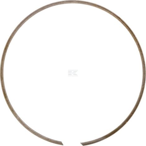 Anillo retenci贸n para carcasa IDC BR205 (1/3)