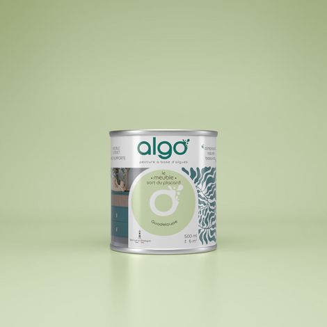 Peinture pour Meuble - Vert Guadeloupe - 0.5L / Mat