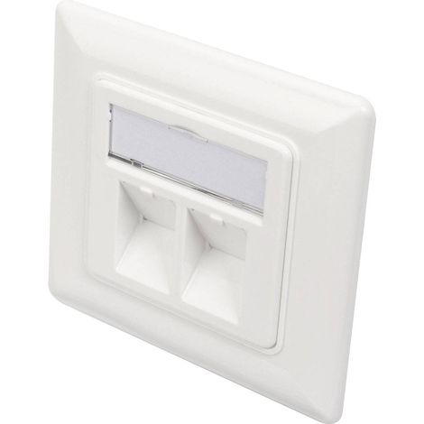 Digitus DN-93801-1 support Keystone 2x blanc W389271 (1/5)