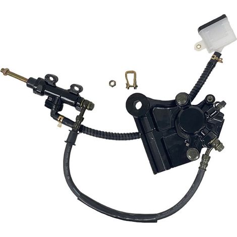 Motorrad-Motorbremssattel-Baugruppe, kompatibel mit Italika 250z Bremssätteln Isotype F15020357 (1/3)