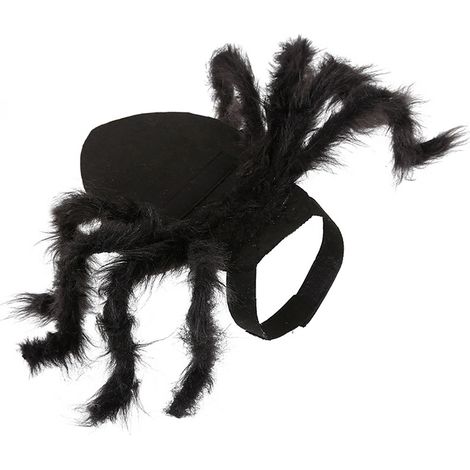 Costume d'Halloween Effrayant pour Chien et Chat en Forme d'Araignée (1/5)
