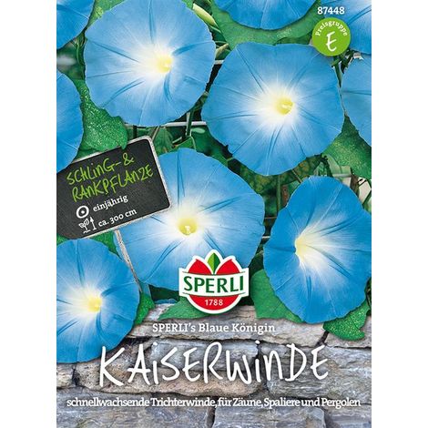 Sperli Trichterwinde (Kaiserwinde) Blaue Königin Samen - 1 Portion (1/4)