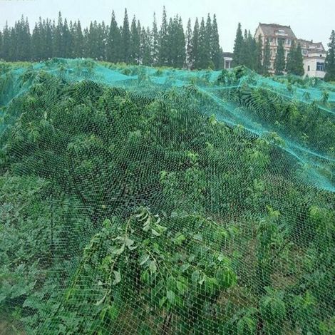 Filet anti-oiseaux pour plantes, arbres fruitiers et autres végétaux, 4 x 10 m (1/4)