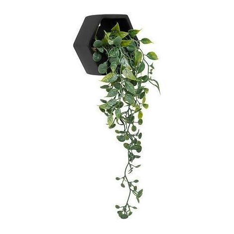 Pianta rampicante artificiale in vaso di polipropilene nero (1/2)