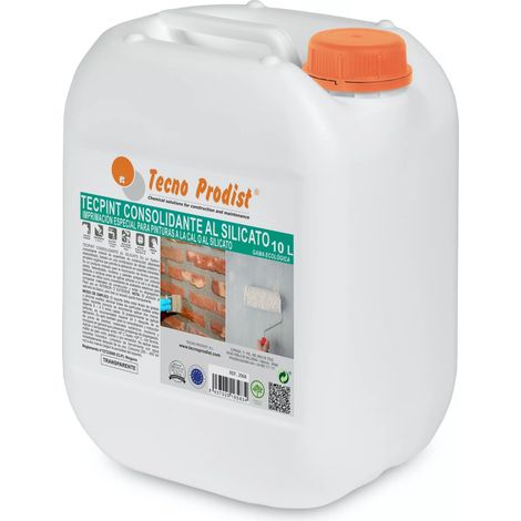 Tecno Prodist Tecpint Consolidante al Silicato - Fijador para Paredes de Piedra, Ladrillo