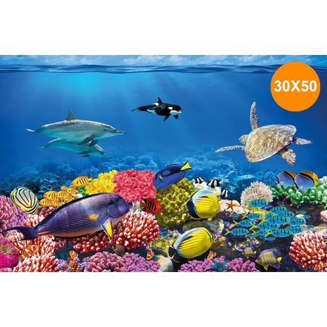Cartes De Décoratives Pour L'eau 30 X 50 Cm