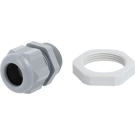 STEX24 Presse-étoupe en PA avec contre-écrou - marque distributeur STEX24 PG21x1588 VPE 100 Polyamide (PA) Longueur de filetage 10,0 mm - 1 Stück