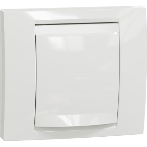 Unica plaque de finition IP44 Blanc 1 poste SCHNEIDER NU044218 (1/5)