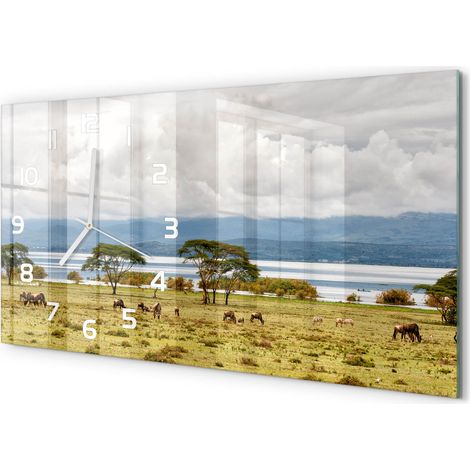 Horloge Murale Panoramique en Verre 60x30 cm Décorative Moderne Salon Cuisine Lac Naivasha (1/5)