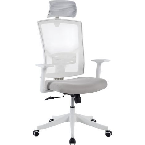 Chaise de bureau ergonomique dossier haut en maille – soutien lombaire réglable – appui-tête ajustable – accoudoirs relevables – inclinable et pivotante – idéale bureau, gaming (1/5)