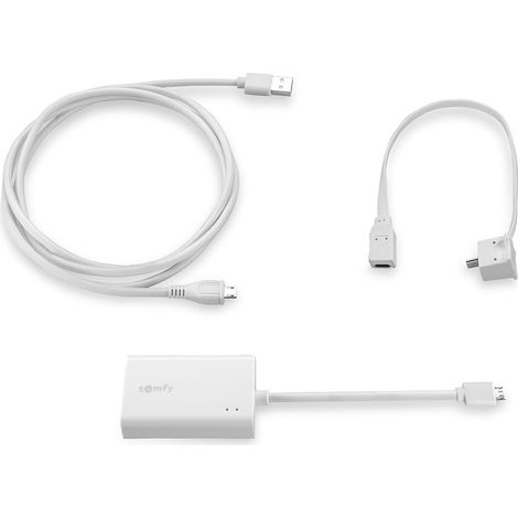 SOMFY 9028054 - Adaptateur Ethernet RJ45 - Connecte TaHoma switch au réseau local filaire