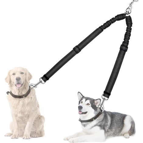 Laisse double pour chien 45-60 cm – Nylon durable et métal – Rotation 360° – Élastique absorbant les chocs – Coutures réfléchissantes (1/5)