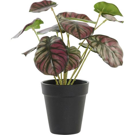 Plante décorative DKD Home Decor Rose Vert PE (10 x 10 x 27 cm) (1/3)