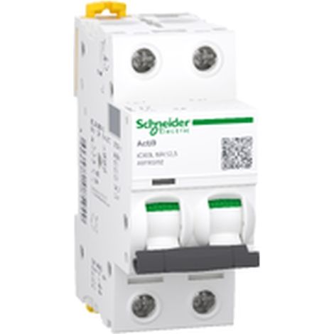 Automatischer Schalter iC60L 12,5 A MA 2P 15 kA 220–240 V DC – SCHNEIDER