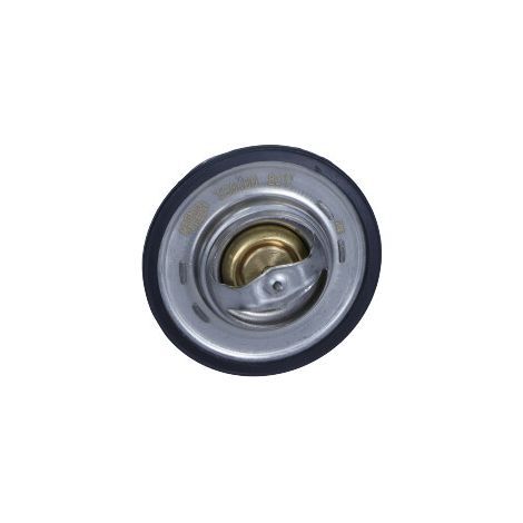 Thermostat, liquide de refroidissement Magneti Marelli 352317101000 CITROËN (1/3)