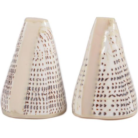 CONE - Duo Salière et Poivrier en Coquillage Naturel - 6.5 à 9.5cm - Fait Main - Pièces Uniques - Finition Résine - Style Bord de Mer