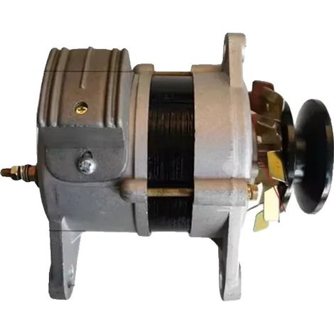 Générateur, Haute Puissance, Technologie Sans Balais, 800W, 220V-a (1/2)