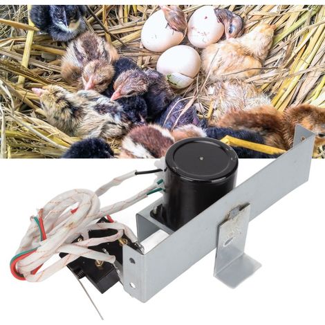 Sistema de volteo de huevos para incubadoras automáticas, motor de volteo de huevos con cadena, accesorios para incubadoras de 220 V. (1/5)