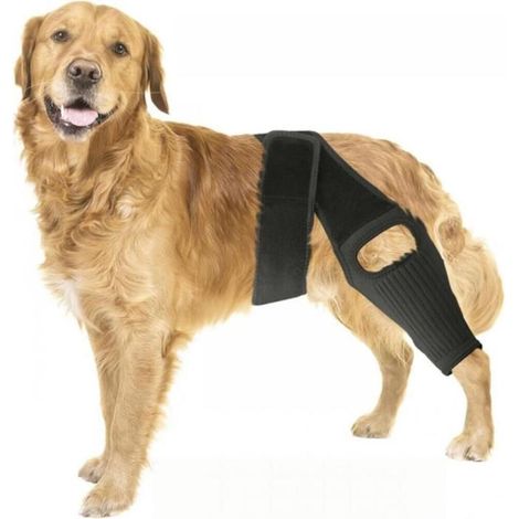 Attelle de genou pour chiens souffrant d'une rupture du ligament croisé de la patte arrière, offrant un soutien solide pour s (1/5)