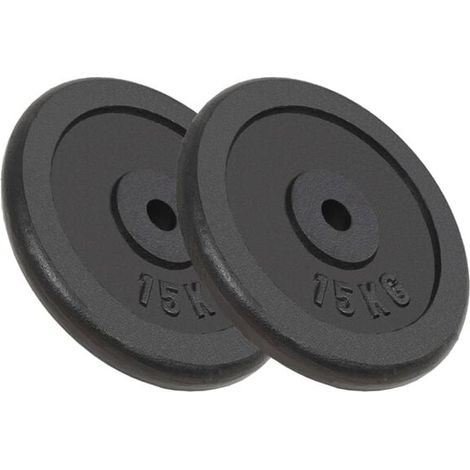 Deux plaques de contrepoids, pesant chacune 15 kg, en fonte. (1/5)