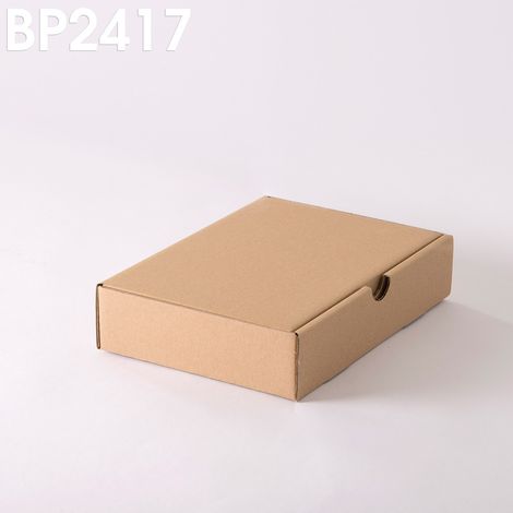 Lot de 5 Boîtes postales brunes 240x170x50 mm