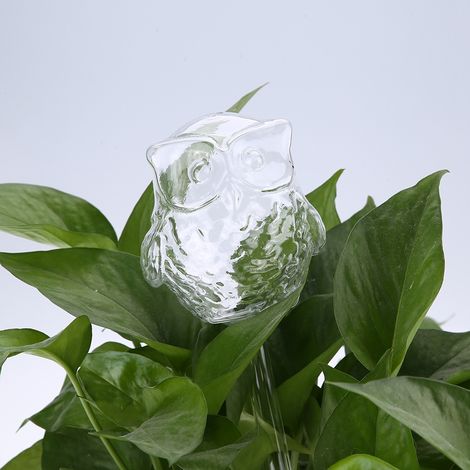 Arrosage Automatique pour Plantes Maison, Navire de l'Eau en Verre Borosilicate Haute, Réservoir 28cm Owl Transparent - 1 Pièce (1/5)