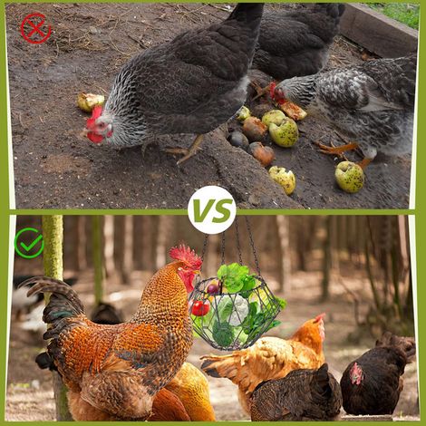 Mangeoire Suspendue pour Poules Panier de Légumes et Fruits pour Volailles Jouet d'Enrichissement Pliable en Acier Inoxydable pour Basse-Cour Poulailler Canards Oies (1/5)
