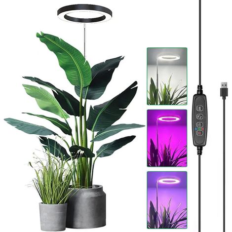 Lampe horticole LED 35-155 cm à spectre complet, 9 niveaux de luminosité, minuterie, hauteur réglable, pour grandes plantes, noire (1/5)