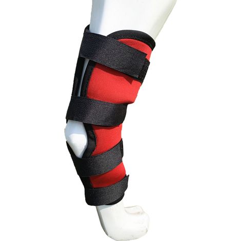 Attelle de jambe de chien élastique réglable pour éviter le glissement, enveloppe de compression, protection de soutien pour animaux de compagnie pour les blessures causées par l'arthrite, rouge XL (4 (1/5)