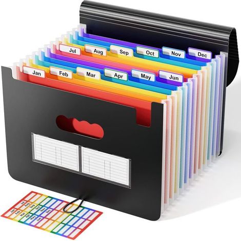 Ecleanfy - Trieur A4 / Range Document/Papier 12 compartiments- Valisette documents Classeur Organiseur Extensible Accordéon (1/5)