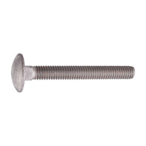 Vis ronde tête plate carrée 8x80 /25 (1/2)