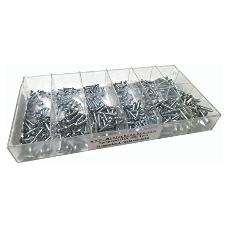Boîte d'assortiment de 300 vis à tôle conformes à la norme DIN 7981-TX en acier galvanisé (à partir de 2,2 x 6,5 mm), à six pans creux (TX), tête bombée. Assortiment de mini vis avec boîte étiquetée (1/3)