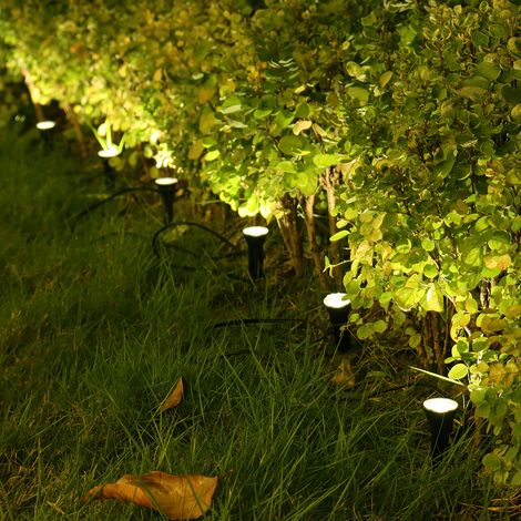 10 LED-Solar-Gartenleuchten – Set mit 10 dekorativen Solarleuchten für Rasen und Wege (1/3)