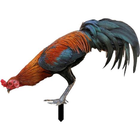 Piquet décoratif pour jardin, statue de coq, figurine en acrylique, sculpture animale pour jardin, porche, allée, cour-Style B