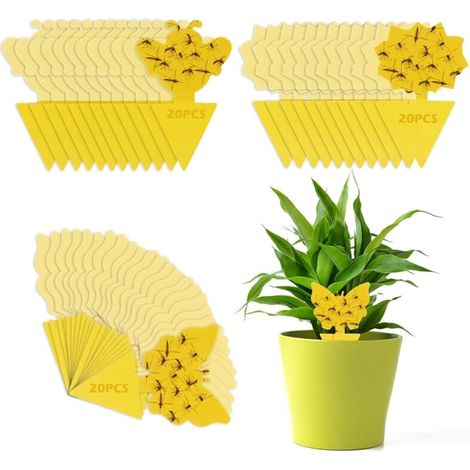 Anti Moucherons Plantes Interieur, 60 Pcs Pièges à Insectes Jaune Mouche Double Face Protection des Plantes Fleur Fruits Anti Moucheron Plante (1/5)